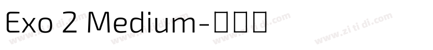 Exo 2 Medium字体转换